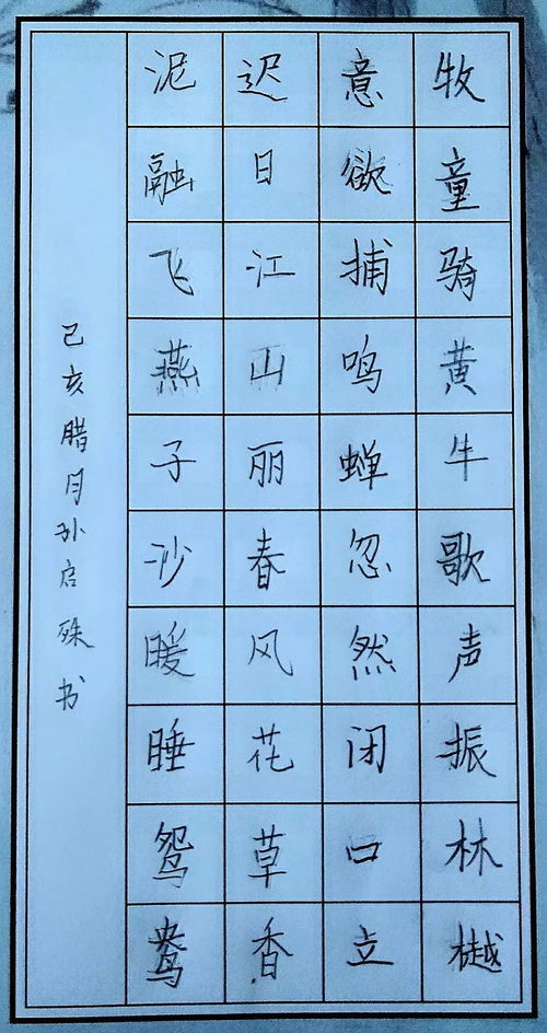 笔绘蓝天 晋 在新年 文旅部书画等级考试 成都考区 新年第一考开考