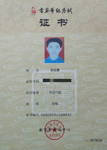 2019年上半年中国书画等级考试成绩揭晓 传承与创新共舞
